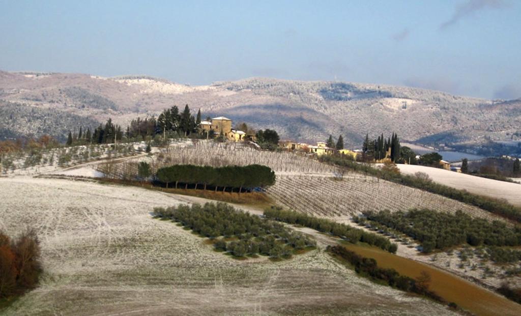 Osteria Carnivora Guest House Gaiole in Chianti Exteriör bild